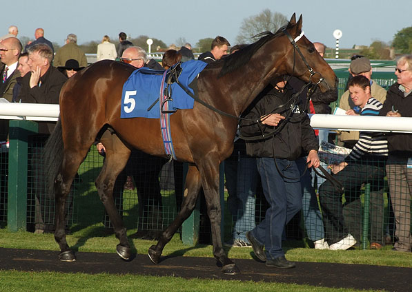  - Llewellyn at Bath - 16 May 2012