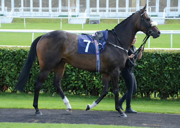  - Loretta at Doncaster - 17 August 2019