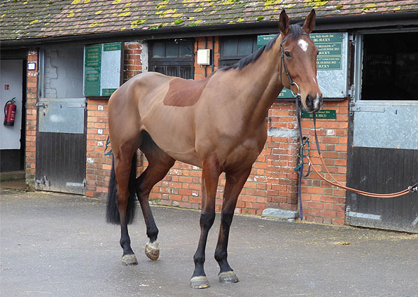  - Lumpys Gold at Ditcheat Stables - 23 February 2014