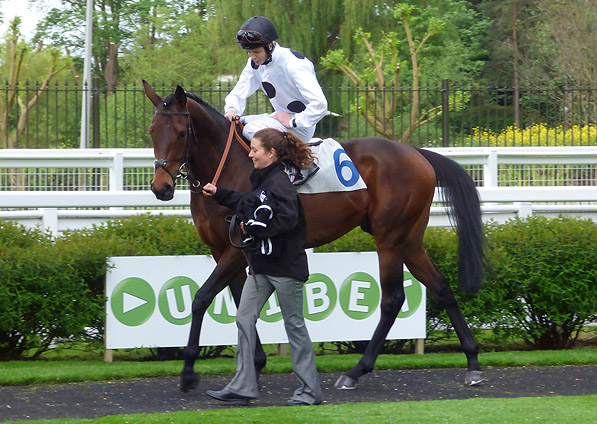  - Man Of Harlech and David Probert at Windsor - 28 April 2014