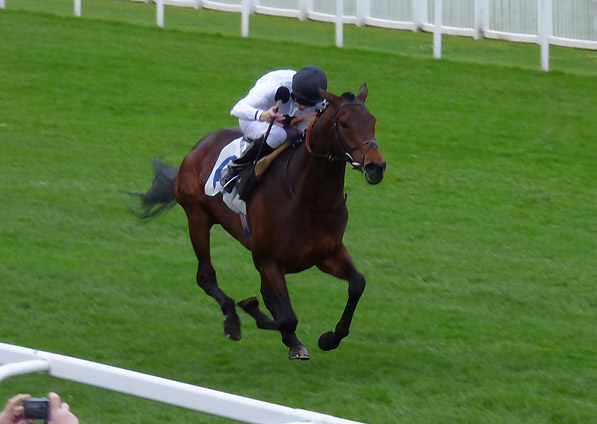  - Man Of Harlech and David Probert winning at Windsor - 28 April 2014