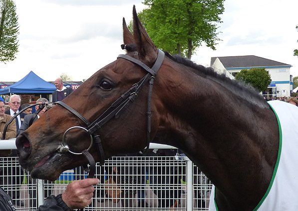  - Man Of Harlech in the winners' enclosure at Windsor - 28 April 2014 - 2