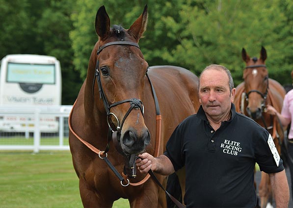  - Man Of Harlech at Salisbury - 24 June 2015 - 2