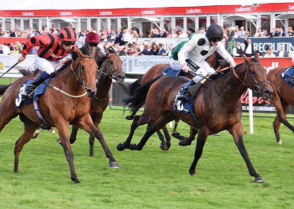  - Man Of Harlech at Doncaster - 12 September 2015 - 1