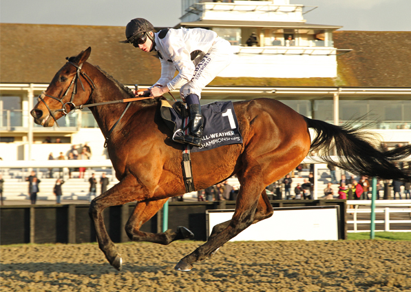  - Man Of Harlech winning under Oisin Murphy at Lingfield - 25 November 2015