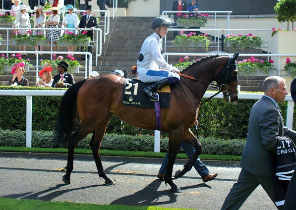  - Man Of Harlech at Royal Ascot - 15 June 2016