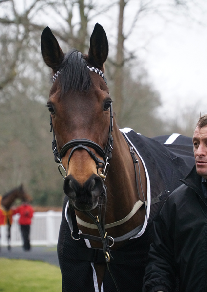  - Man Of Harlech - Lingfield - 27 January 2018