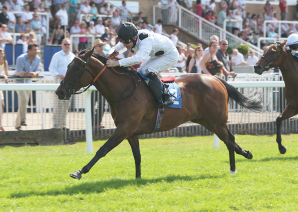  - Marlinka winning at Windsor - 27 June 2010 - 1