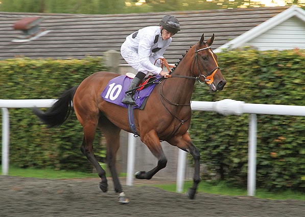  - Marsha under Luke Morris at Kempton - 4 September 2015