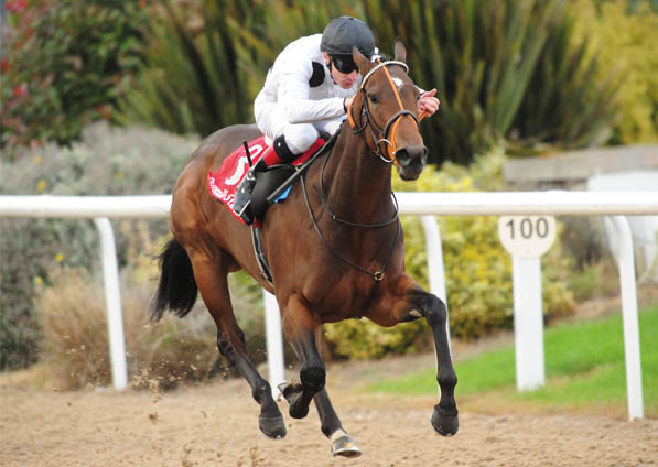  - Marsha winning under Declan McDonogh at Dundalk - 9 October 2015