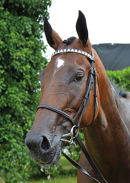  - Marsha at Goodwood - 29 July 2016