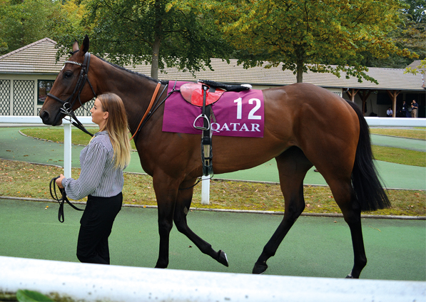  - Marsha at Chantilly - 11 September 2016