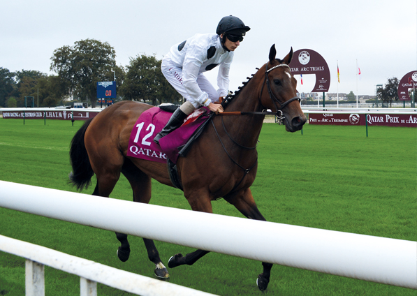  - Marsha under Luke Morris at Chantilly - 11 September 2016