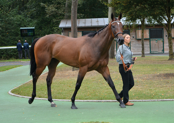  - Marsha at Chantilly - 11 September 2016