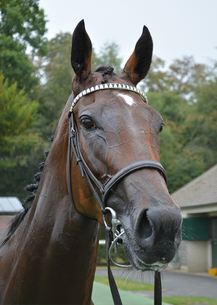  - Marsha at Chantilly - 11 September 2016