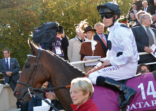  - Marsha under Luke Morris at Chantilly - 2 October 2016