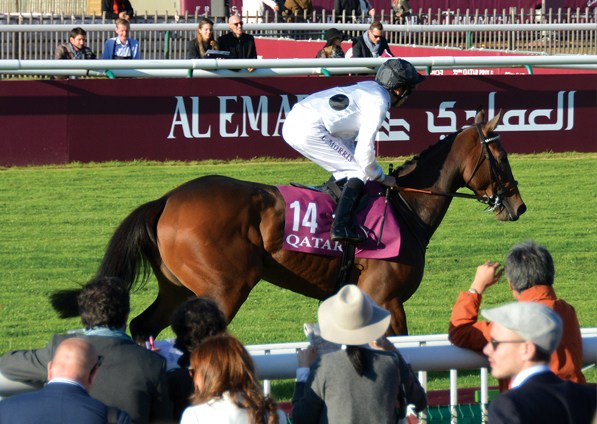  - Marsha under Luke Morris at Chantilly - 2 October 2016