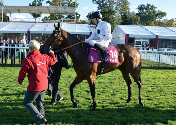  - Marsha under Luke Morris at Chantilly - 2 October 2016