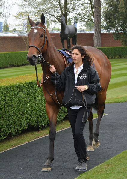  - Marsha at Newmarket - 6 May 2017