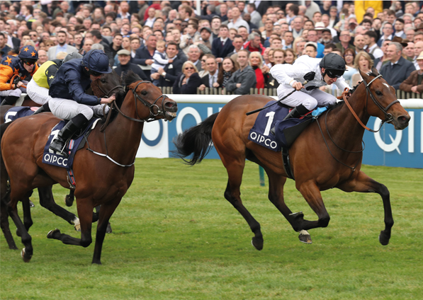  - Marsha at Newmarket - 6 May 2017