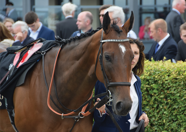  - Marsha at the Curragh - 15 July 2017