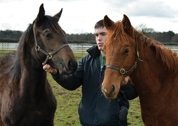  - Kodiac ex Kind Of Hush Colt (left) - 23 March 2018