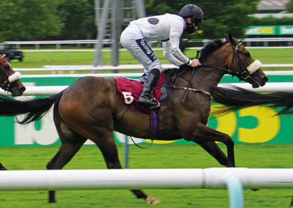  - Maurice Dancer at Haydock - 5 July 2020