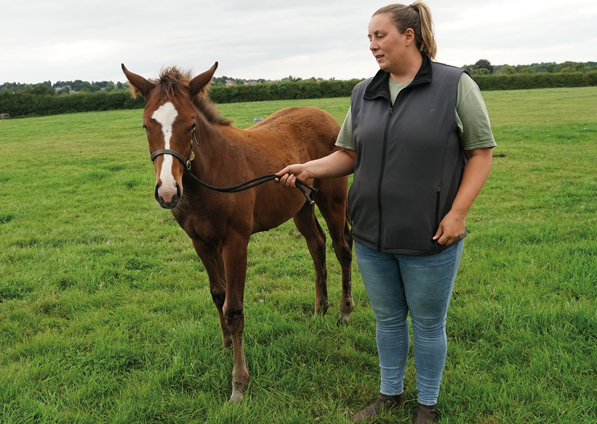  - Ulysses ex Kind Of Hush filly - 11 August 2021