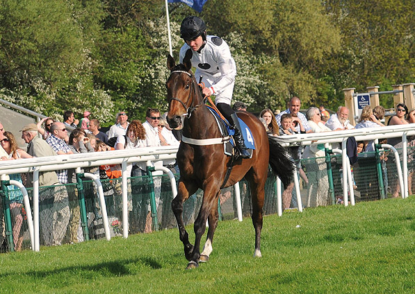  - Mister Dillon at Huntingdon - 25 April 2011