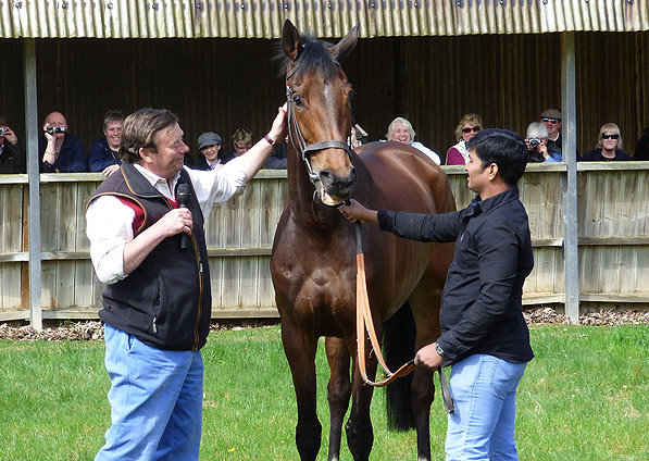  - Mister Dillon with Nicky Henderson - 13 April 2014 - 2