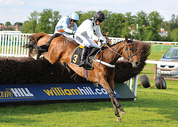  - Mister Dillon and Jeremiah McGrath winning at Worcester - 21 May 2014