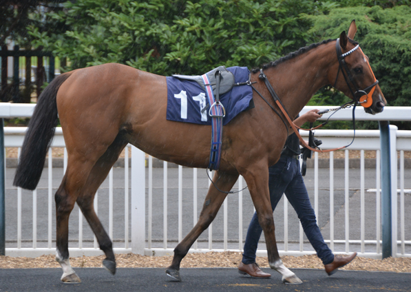  - Mon Frere at Wolverhampton - 17 July 2019