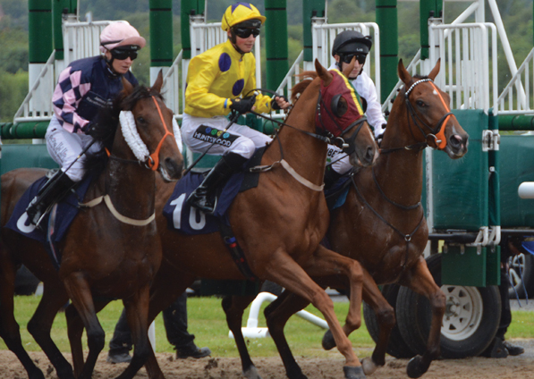  - Mon Frere at Wolverhampton - 17 July 2019