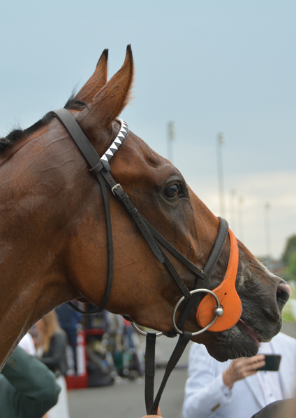  - Mon Frere at Wolverhampton - 17 July 2019