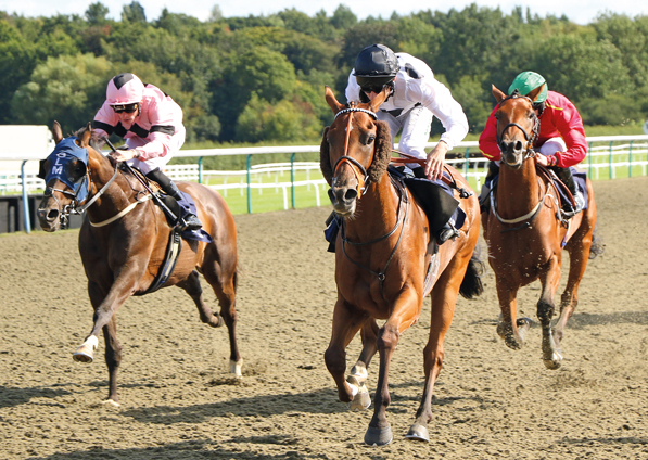  - Mon Frere at Lingfield - 15 August 2019