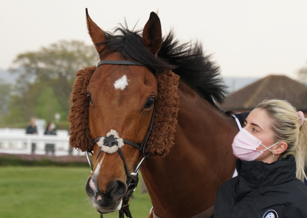  - Mon Frere at Taunton - 21 April 2021