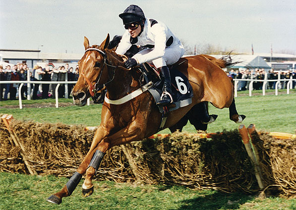  - Mysilv winning at Newbury - 11 February 1995