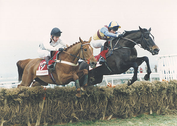  - Mysilv at Cheltenham - 14 March 1996