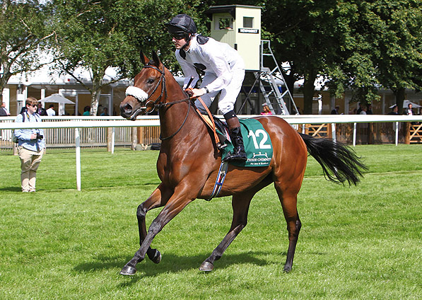  - New Fforest at Newmarket - 12 July 2012