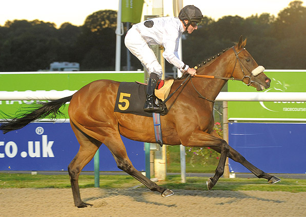  - New Fforest winning at Wolverhampton - 8 September 2012