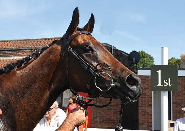  - New Fforest after her win at Warwick - 11 July 2013