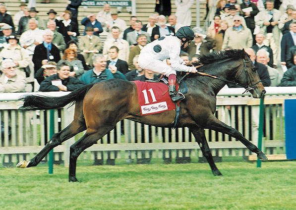  - New Seeker and Jimmy Quinn winning at Newmarket - 2 May 2003