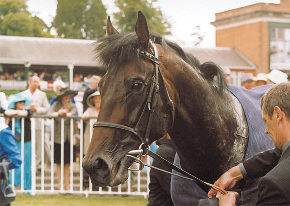  - New Seeker at Ascot - 19 June 2003