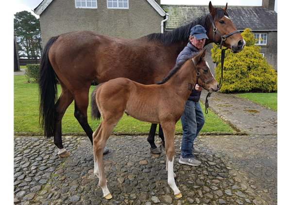  - Churchill ex Madison colt - 16 March 2021