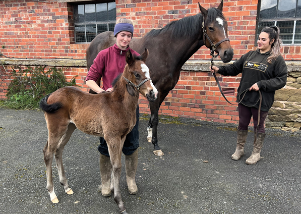  - Loretta and her Oasis Dream filly - 15 April 2023