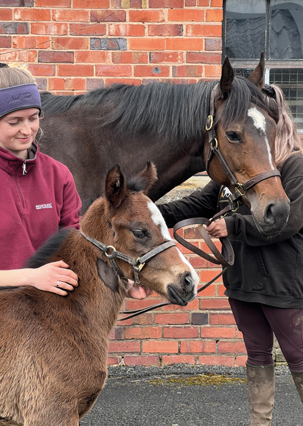  - Loretta and her Oasis Dream filly - 15 April 2023