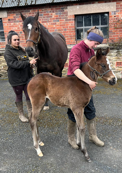  - Loretta and her Oasis Dream filly - 15 April 2023