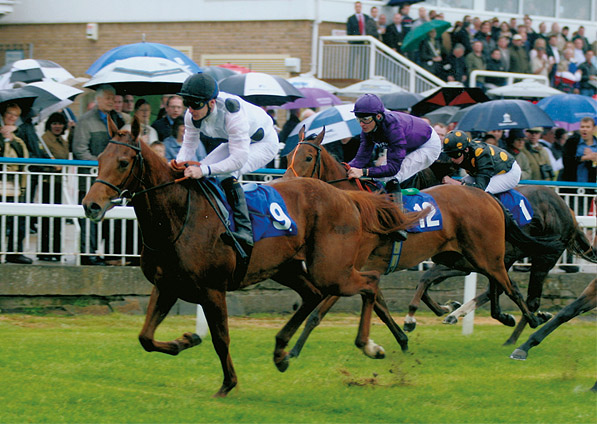  - Oceans Apart at York - 17 June 2005