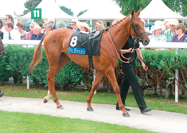  - Oceans Apart at Newbury - 23 July 2005 - 1