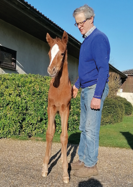  - New Approach ex Tribute Act filly - 26 February 2021